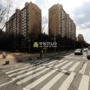 강촌로4 이미지