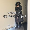 백화점 여성 롱패딩 추천, 듀엘 폭스 퍼 슬림 구스 롱 다운