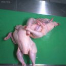 키키키키 이미지