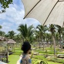 이마켓 | 치앙마이 마켓 총정리! 코코넛마켓 coconut market /징자이마켓 jing jai market / 선데이마켓 후기