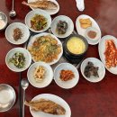 도니친구미나리 이미지