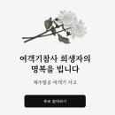 카카오/다음 제주항공 여객기 사고 추모 페이지 이미지