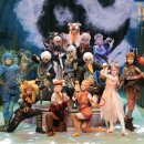 국내국제결혼 사랑결혼정보 이미지