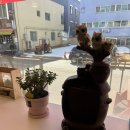 명품찌개가김고집 이미지