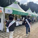 진주네 닭강정 이미지