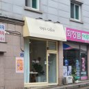 오요케이크
