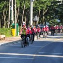 강릉목장 이미지