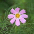 홍지마을 이미지