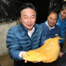 황금지사 이미지