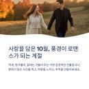 벌교숲공원 | 10월 커플여행지 TOP7: 억새·핑크뮬리·갈대를 한 번에 비교