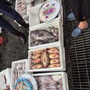 울진 공설시장 이미지