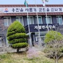 자월면사무소 이미지
