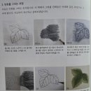 나의 첫 민화 수업 이미지