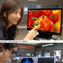 태양글로벌