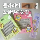 말티 | [플라리아] 풀 없이 붙이는 노글루 속눈썹 말티데이 후기
