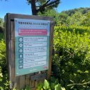 2진짜배기밥 덕평자연휴게소점 | 덕평휴게소 강릉방향 맛집 소고기국밥 돈까스 푸드코트 메뉴