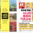 컴퓨터기초와 스마트폰활용 이미지