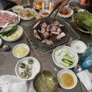 히미쎈장어,꼼장어 이미지