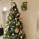 라마띠네(LA MATINEE) 이미지