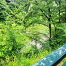 소베라노독채풀빌라 이미지