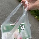 충주 친정맘 산후도우미 15일 후기