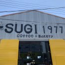 수기1977 이미지