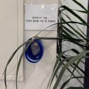 베스텔 빽다방 학익점 | 학익동필라테스 운동초보를 위한 맞춤처방 바름핏 첫걸음필라테스