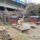 기두농장 네이버블로그