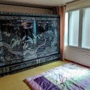 서호동-52 네이버블로그