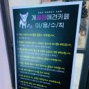 개꿀잼 애견카페 이미지