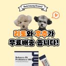 이웃집약국 이미지