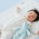 코오롱 세탁 연구소 이미지