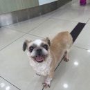 부산종합동물병원 이미지