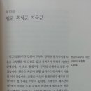 비르투&포르투나 Daum카페