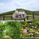 5월 6월 여행지 추천ㅣ강원도 인제 곰배령 등산ㅣ당일치기 여행ㅣ<b>온새미</b> 여행사