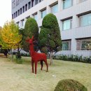 한양대(제2과학기술관) 네이버블로그