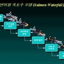 라이프프로젝트 이미지