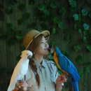 대가야센터-12 이미지