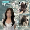 더헤어 | 여름 쿨톤 추천 매트브라운 염색 후기💚(더주안헤어 평촌점)
