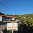 포레스트펜션 | 경주 애견동반 펜션 풀빌라 포레스트258 숙소 후기