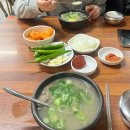 경주빵죽도점 | 포항-경주 여행 데이트코스 맛집 카페 (태화식당, 포갈집,경동수산 과메기,두낫디스터브 경주,기와메밀...