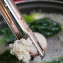 용궁낙지쭈꾸미철판전문점 본점 | 분당정자 쭈꾸미 맛집 쭈락 분당점, 제철 생쭈꾸미 샤브샤브의 진수