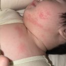 예민한 아기 피부에 써본 오가닉그라운드선쿠션 아기선크림 후기