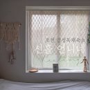 선흘 언니네 | 귀여운 고양이로 힐링 + 편안함까지! 조천숙소 제주독채숙소 선흘 언니네 [제주여행3탄]