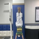 태권한류 이미지