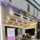 국립광주과학관 금요일에 과학터치 멸종위기동물 양자역학 강연 후기