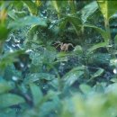 대박살롱 이미지