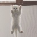 굽네치킨성내2동점 이미지