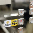 닥터아이티엔깔롱손톱