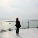 만선센터 | 시흥 주말나들이, 거북섬 해밀화카페, 배곧동 만선회센타 물회 후기💖